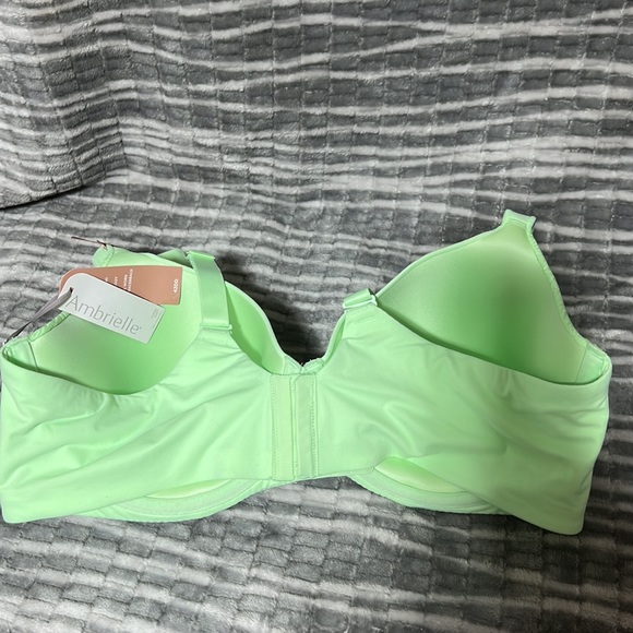 Ambrielle Bra - Picture 4 of 6